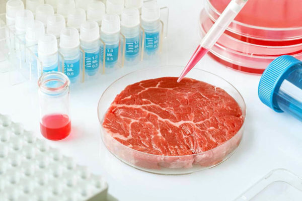 carne artificial o sintetica
